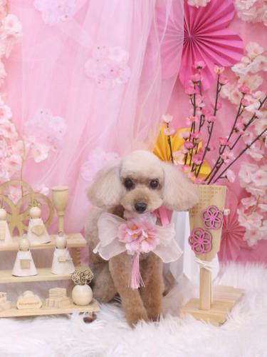 20250313うたちゃん